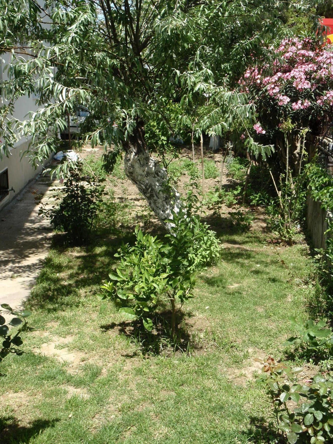 Hotel Liman Kusadası Exteriér fotografie
